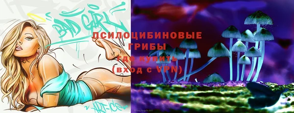 ГАЛЛЮЦИНОГЕННЫЕ ГРИБЫ Бугульма